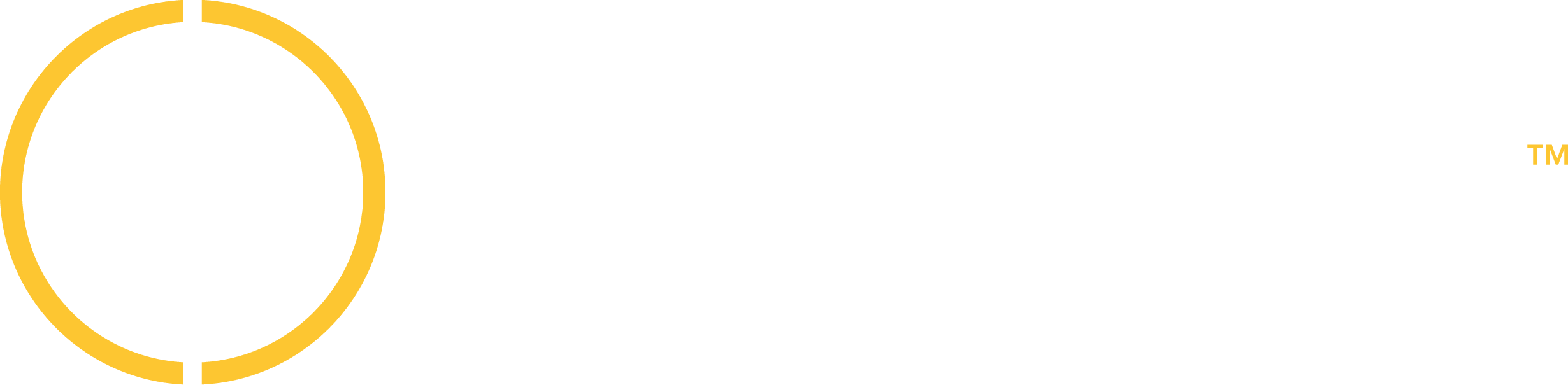 CyberHawk